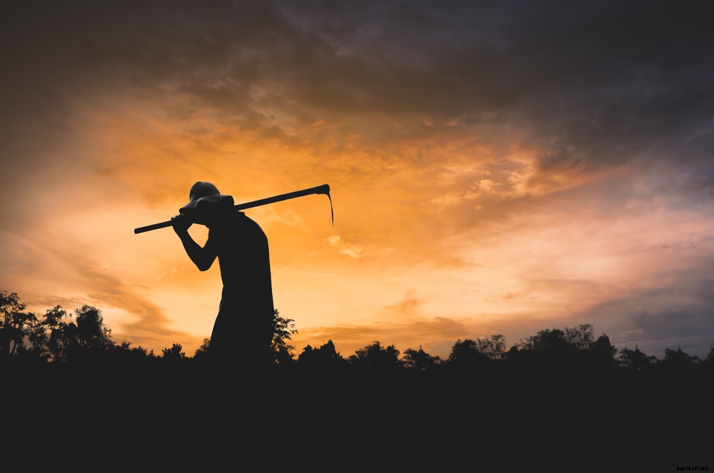 This Year in Food and Farming