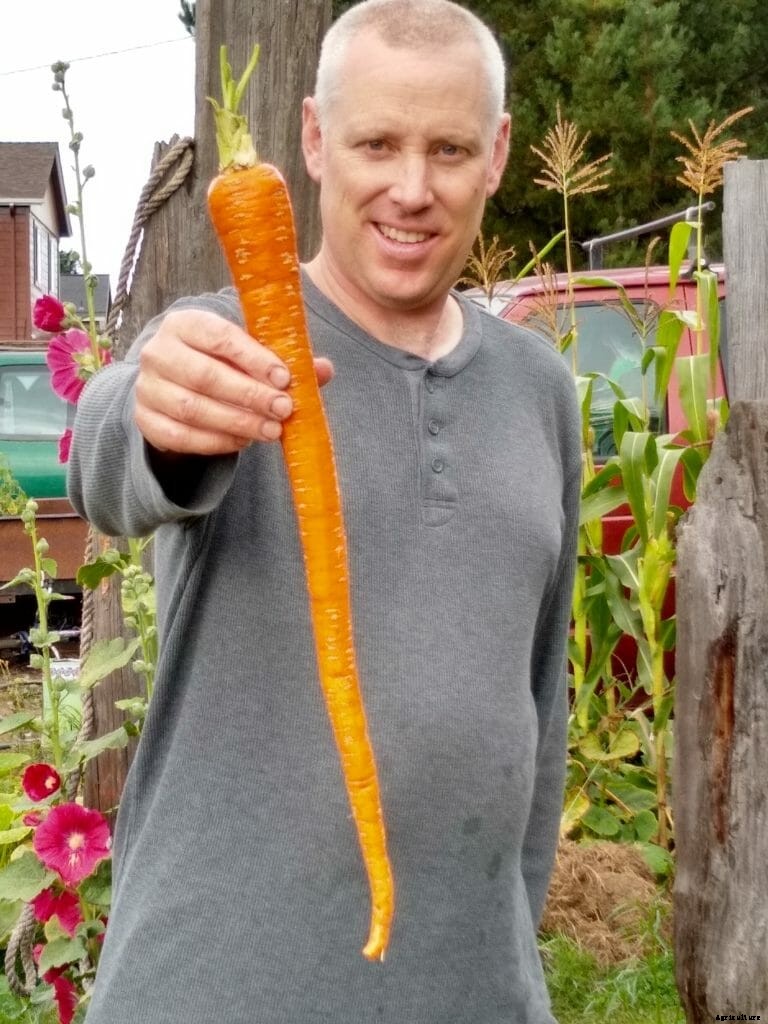 How Growing Giant Vegetables Became a Pandemic Pastime