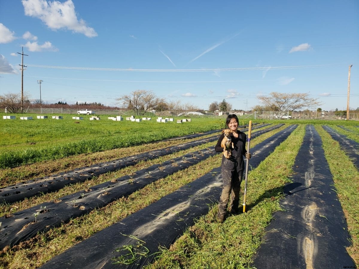 Year One: A Farm Can’t Survive Without Customers
