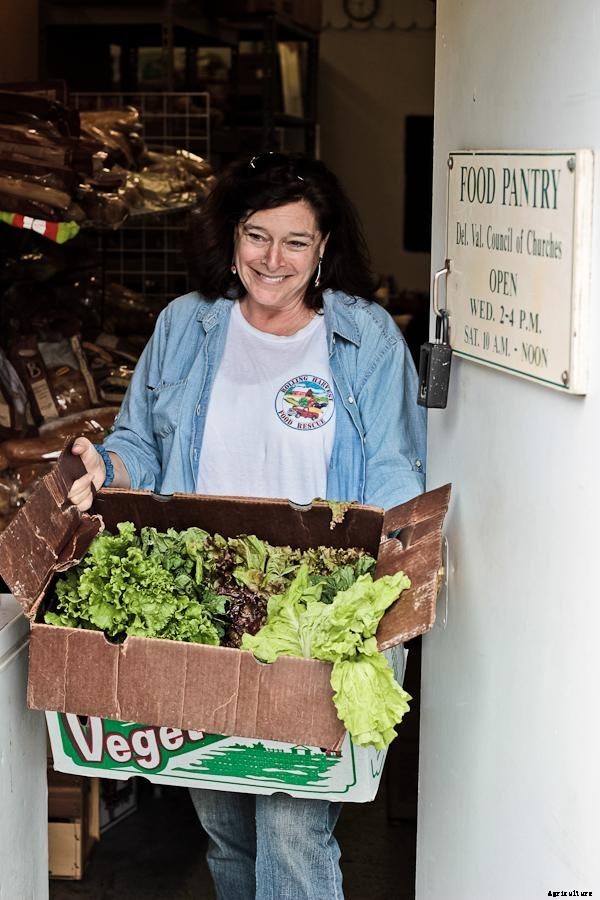 Got Extra Veggies? These Organizations Want to Connect You to a Food Pantry