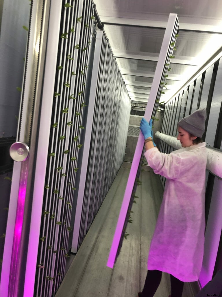 Freight Farms Takes Container Growing to the Next Level