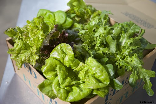 Kickstarting the Modern Farm