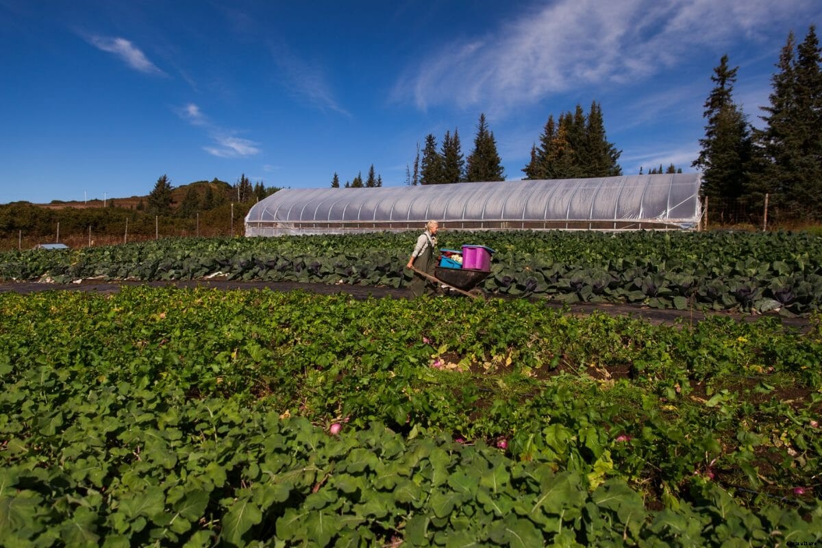 Women Farmers Are on the Rise in the Last Frontier