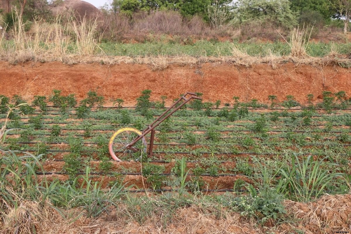 Greenhouse Classes Vs Greenhouse Gases