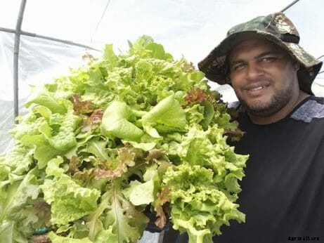 Could Fish Poop be the Answer to Puerto Rico’s Food Sovereignty Problems?