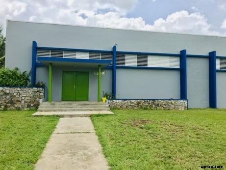 Could Fish Poop be the Answer to Puerto Rico’s Food Sovereignty Problems?