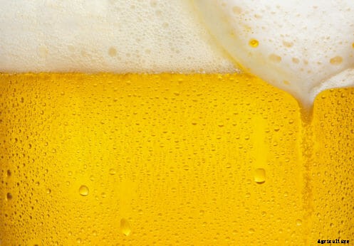 New York Farmers Hope To Discover New Hops