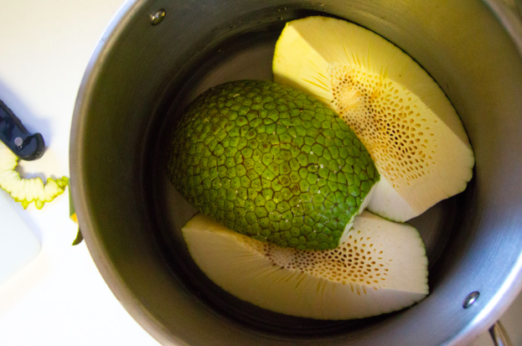 The Last Tree Standing