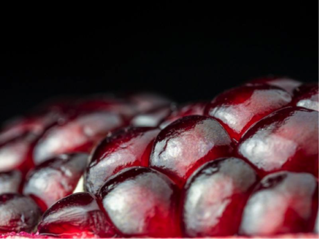 10 Beautiful Photos of Seeds (And Fun Facts for Each)