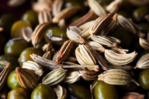 10 Beautiful Photos of Seeds (And Fun Facts for Each)