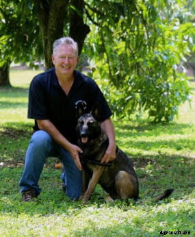 Rescue Dogs May Help Save Florida’s Avocados from a Deadly Disease