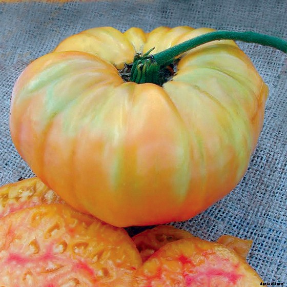 15 Ag & Culinary Pros Share Their Favorite Heirloom Tomatoes