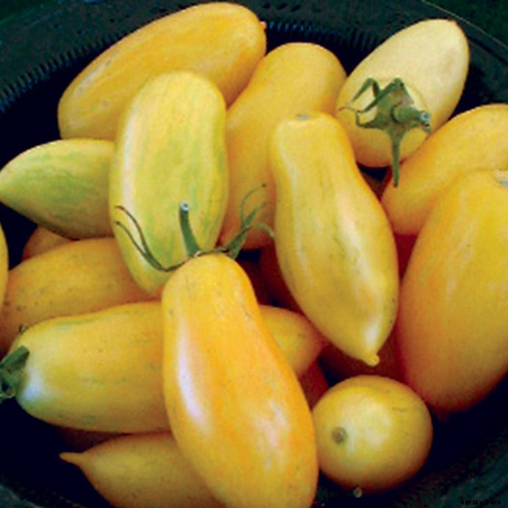 15 Ag & Culinary Pros Share Their Favorite Heirloom Tomatoes