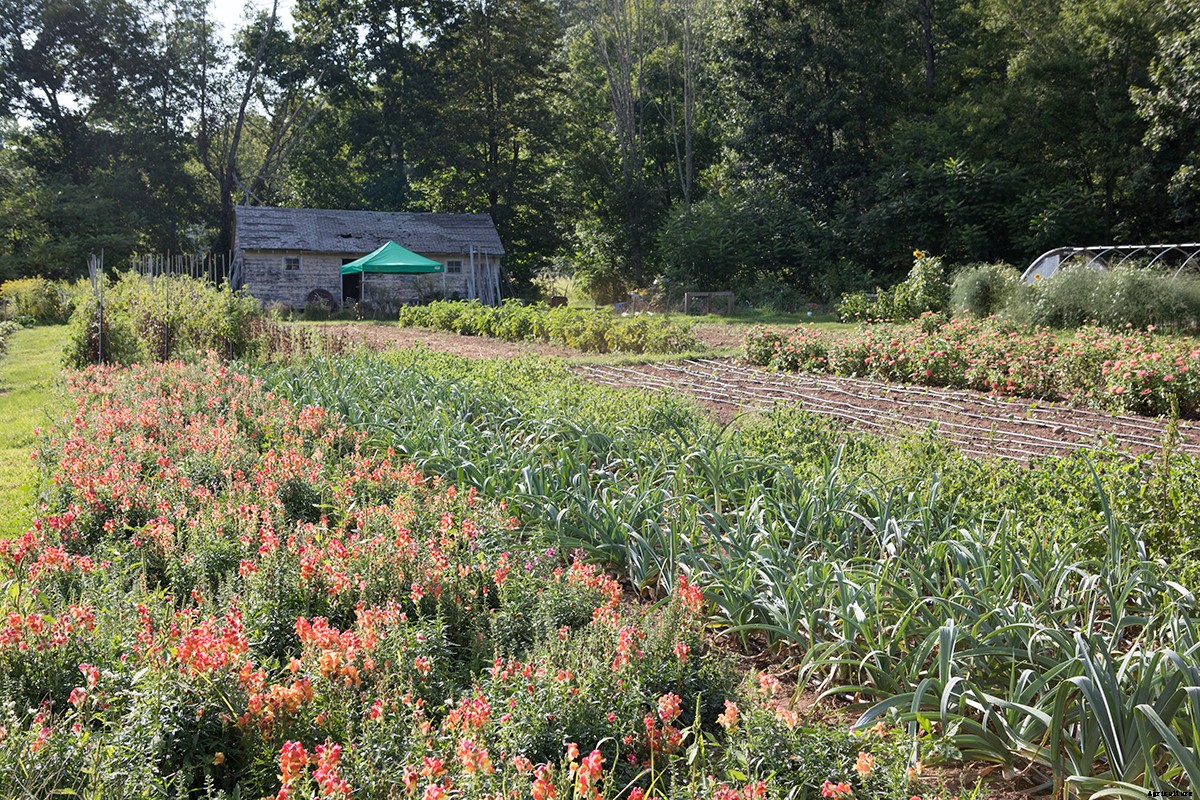 Meet Ken Greene: A Book Worm With a Green Thumb:and a Passion for Seed Preservation