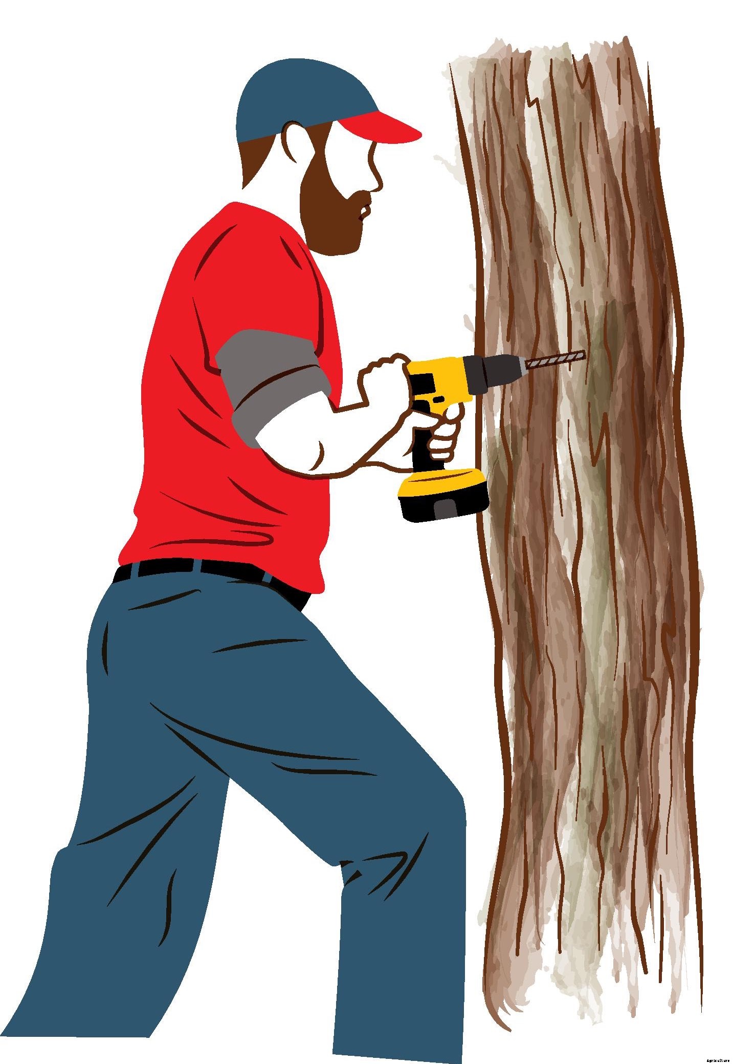 How to Tap Trees for Syrup