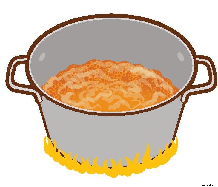 How to Tap Trees for Syrup