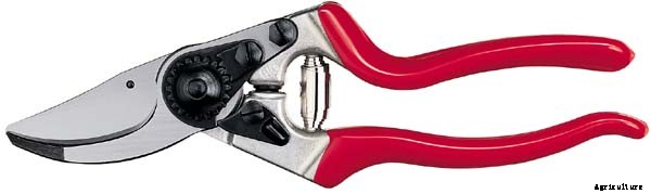 10 Last Minute Gifts for the Plant Lover in Your Life