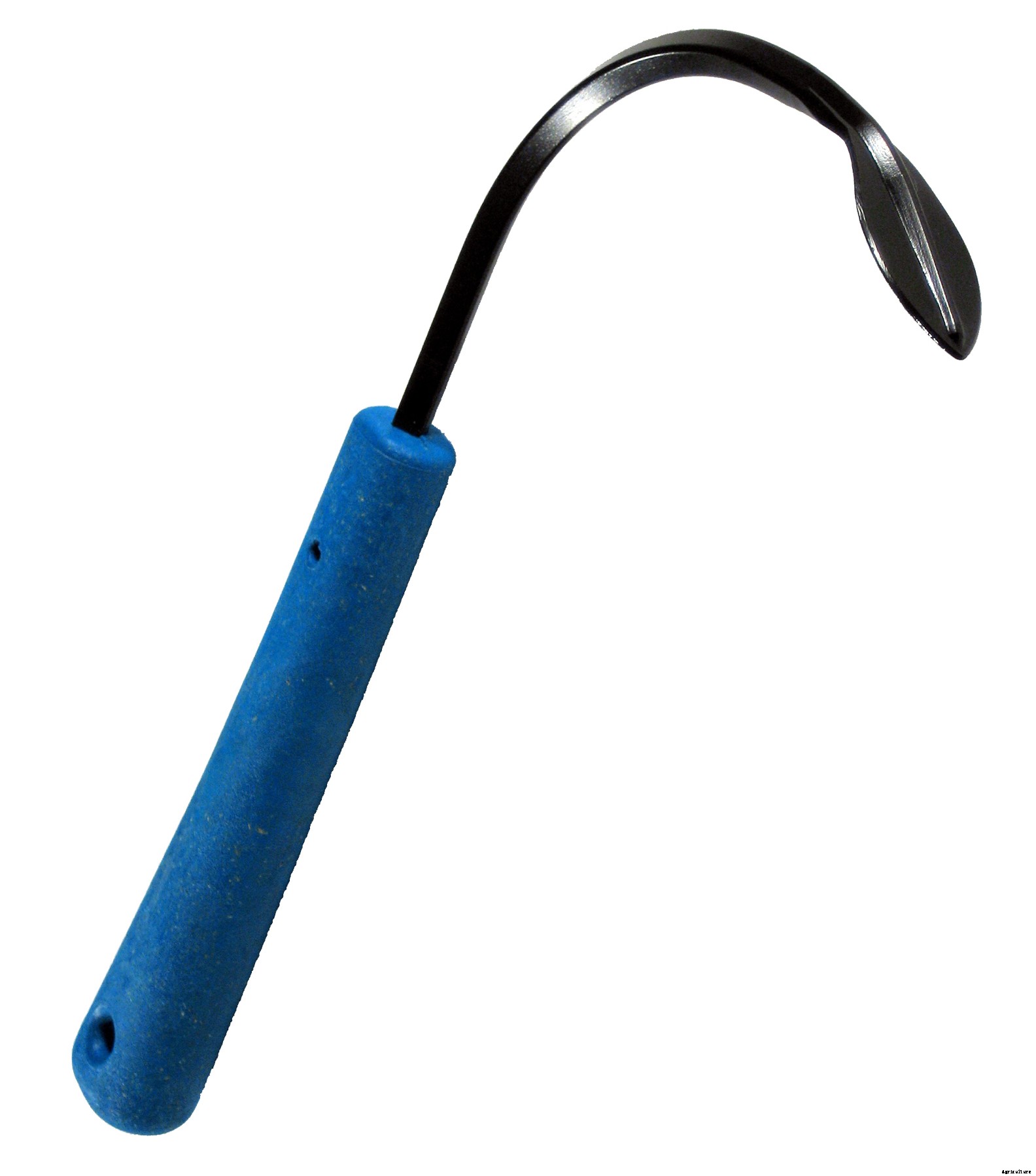 10 Last Minute Gifts for the Plant Lover in Your Life