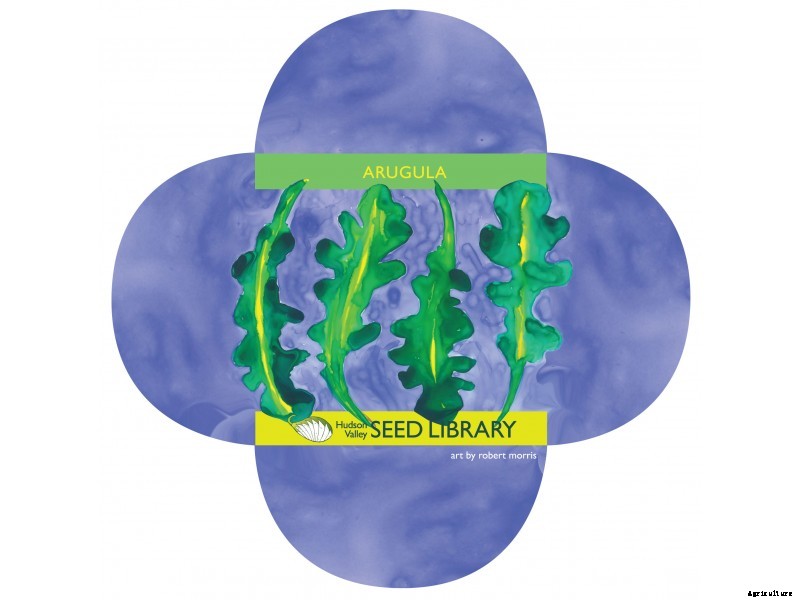 10 Last Minute Gifts for the Plant Lover in Your Life