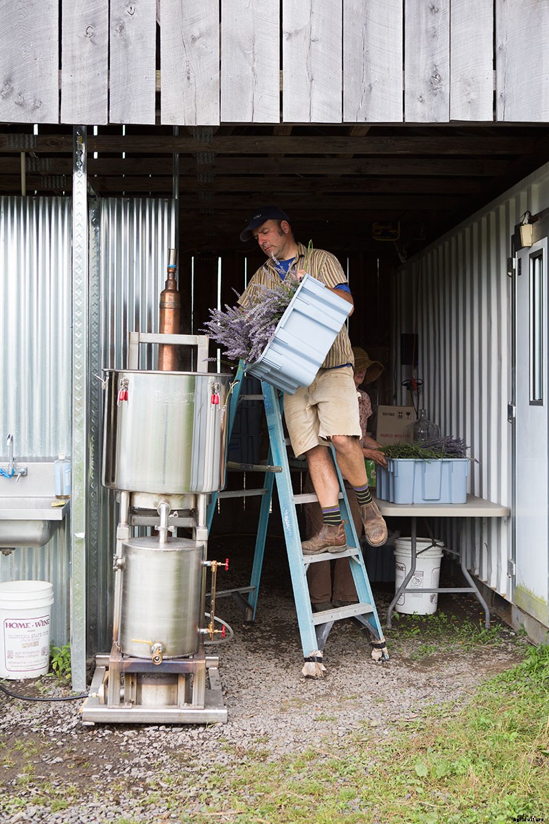 Growing Medicine: This Nurse-Turned-Farmer Found Balance Farming Herbs, Not Food