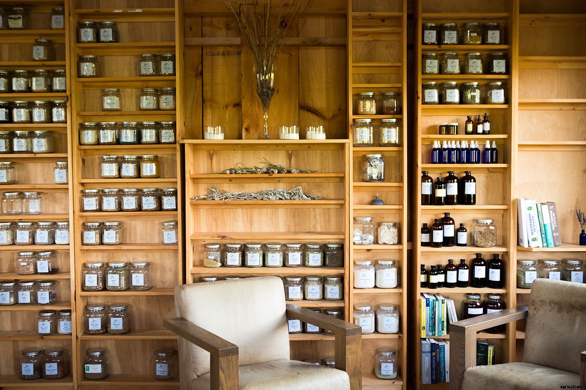 Growing Medicine: This Nurse-Turned-Farmer Found Balance Farming Herbs, Not Food