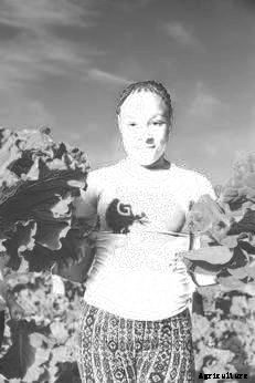 How a North Carolina Minister Sowed Seeds of Hope in a Food Desert