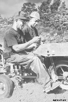 How a North Carolina Minister Sowed Seeds of Hope in a Food Desert