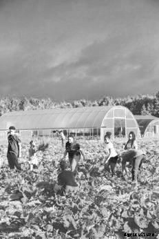 How a North Carolina Minister Sowed Seeds of Hope in a Food Desert