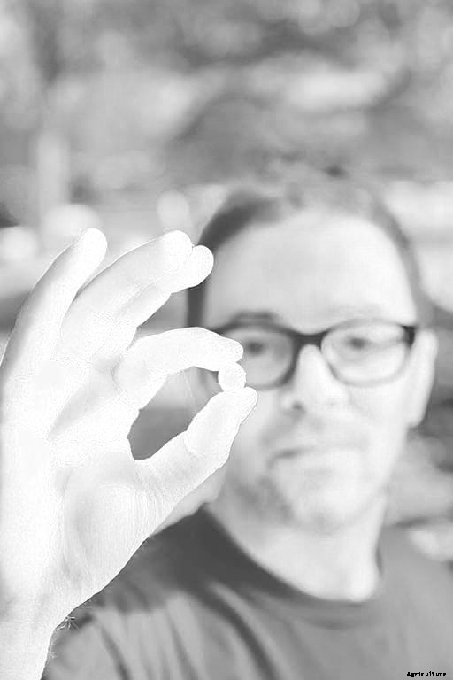 Why We Need to Revitalize Organic Seed Farming