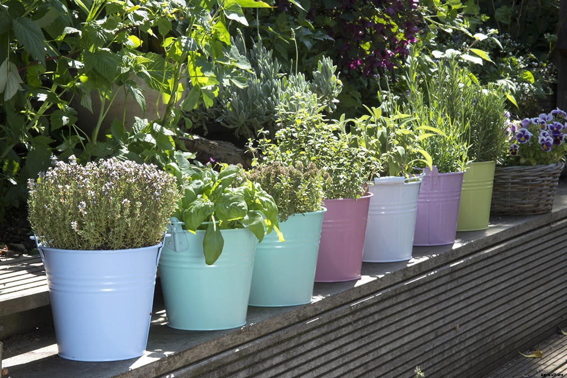 No Land? No Problem. You Can Still Get Growing with Containers!