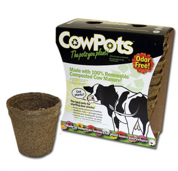 Here Are Six Sustainable Products for Starting Your Spring Seeds