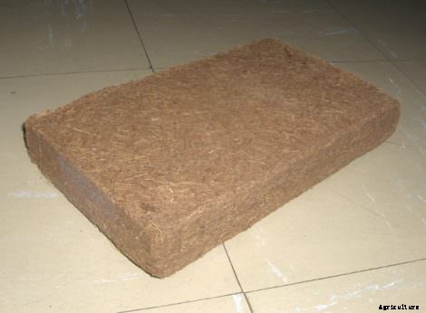 Here Are Six Sustainable Products for Starting Your Spring Seeds