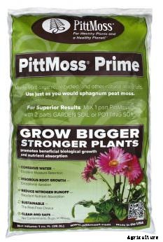 Here Are Six Sustainable Products for Starting Your Spring Seeds