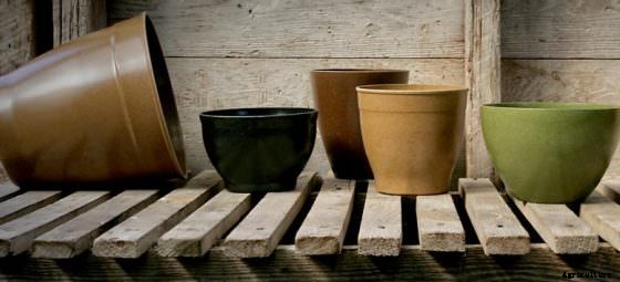 Here Are Six Sustainable Products for Starting Your Spring Seeds