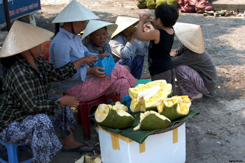 This Little-Known Waste Product Could Provide A Chocolate Replacement