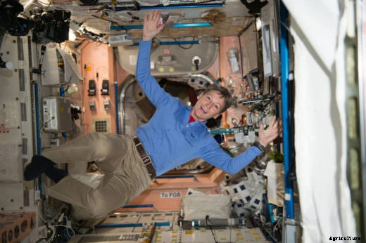 The Astronauts on the International Space Station Are About to Harvest Chinese Cabbage