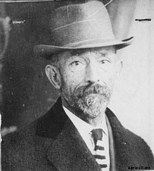 Here’s Why Your Christmas Tree Comes From a Farm