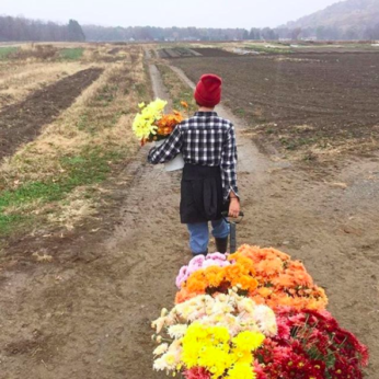 3 Startups that are Disrupting the Flower Biz ” And Helping Farmers, Too