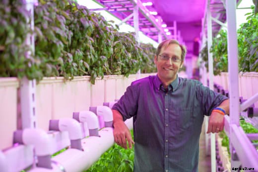 Indianapolis’ Urban Farms Help Tackle Urban Problems