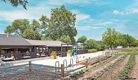 Indianapolis’ Urban Farms Help Tackle Urban Problems