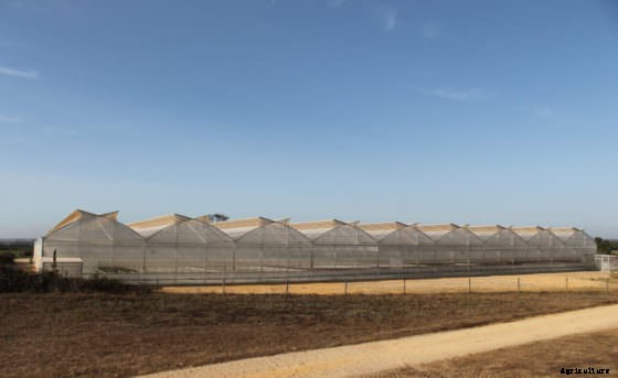 This Farm Uses Only Sun and Seawater to Grow Food