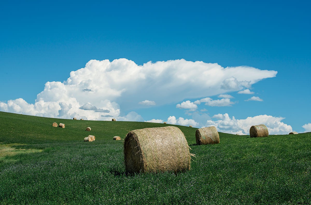 Photo Essay: The Ghost Farms of Colorado