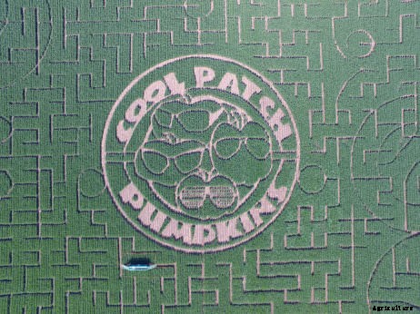 5 Unusual Corn Mazes You Have to Visit This Fall