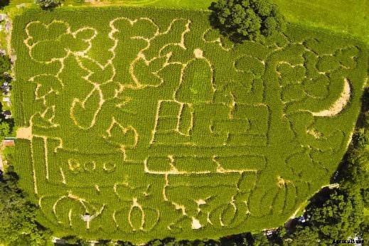 5 Unusual Corn Mazes You Have to Visit This Fall