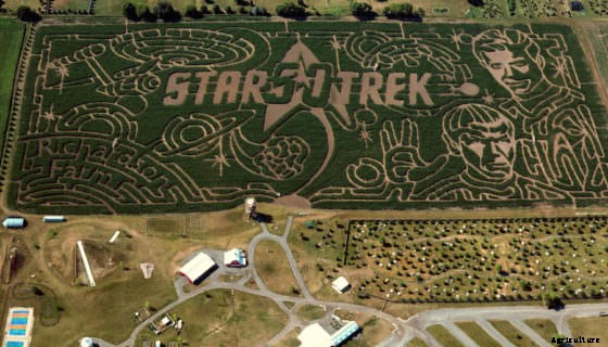 5 Unusual Corn Mazes You Have to Visit This Fall