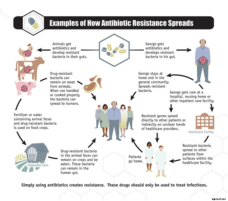 Scientists to United Nations: Antibiotic-Resistant Superbugs are No Joke