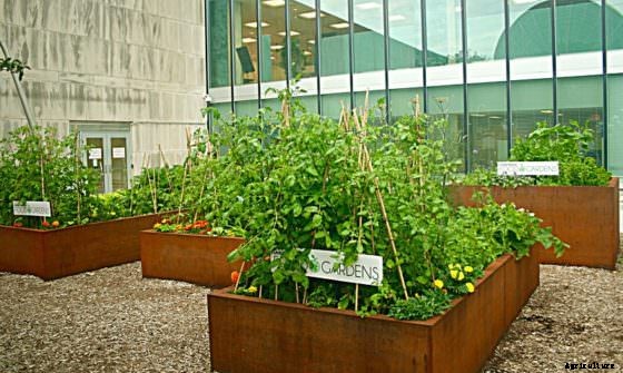 Take a Tour of the UN’s Small-Scale and Diverse Food Gardens