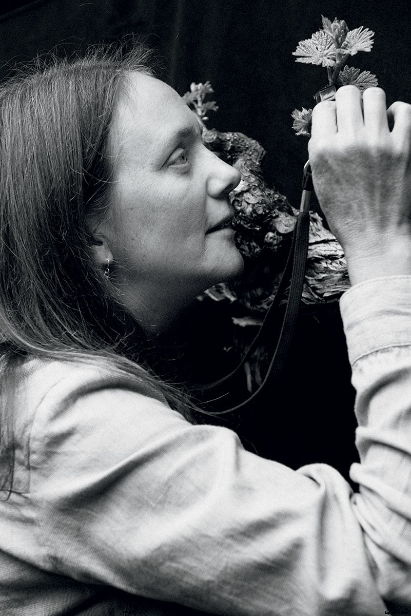 Extension Agents: The Unsung Heroes of the Agricultural World