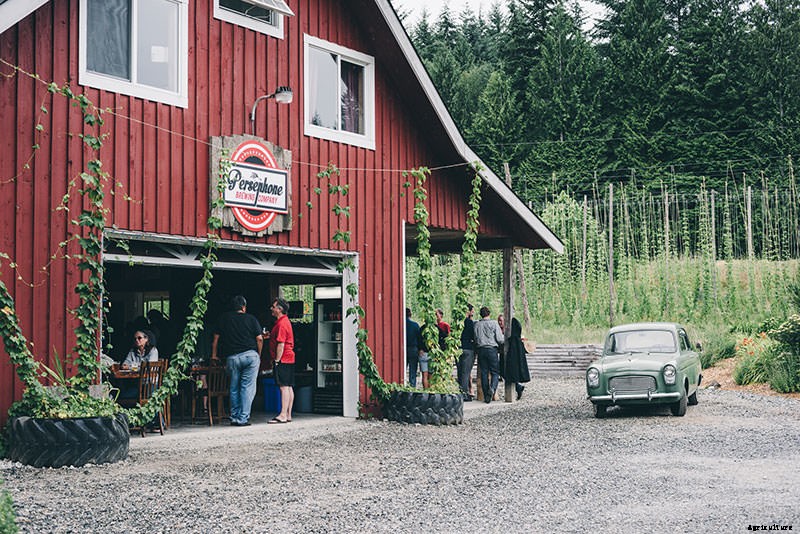 From Farm to Bottle: This Brewery Combines Beer and Agriculture
