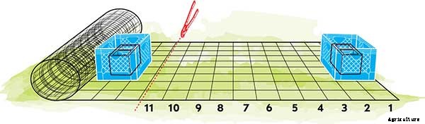 Weekend Project: DIY Tomato Cages